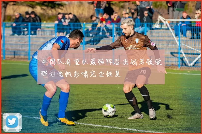 中国队有望以最强阵容出战若张瑷晖刘浩帆彭啸完全恢复