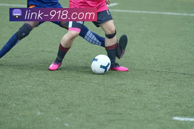 博天堂平台生态图