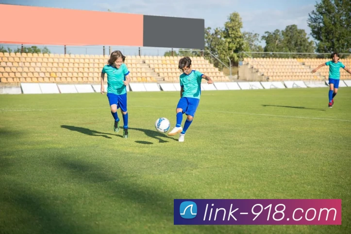 博天堂APP 封面图