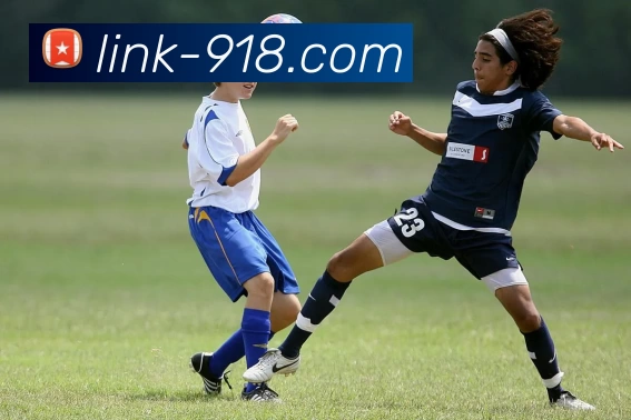 数据防护可视化